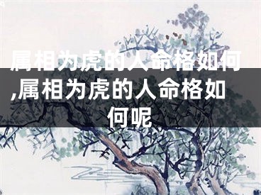属相为虎的人命格如何,属相为虎的人命格如何呢
