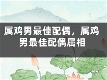属鸡男最佳配偶，属鸡男最佳配偶属相