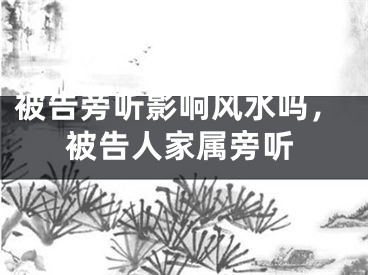 被告旁听影响风水吗,被告人家属旁听