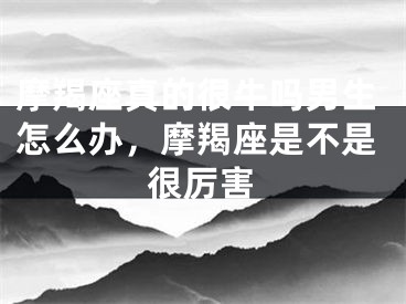 摩羯座真的很牛吗男生怎么办,摩羯座是不是很厉害