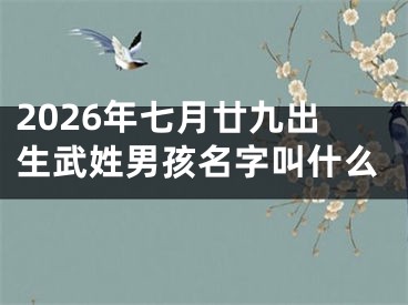 2026年七月廿九出生武姓男孩名字叫什么