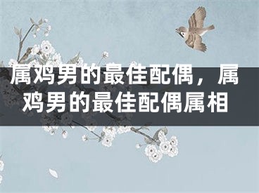 属鸡男的最佳配偶,属鸡男的最佳配偶属相