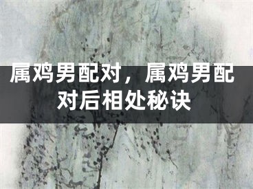 属鸡男配对,属鸡男配对后相处秘诀