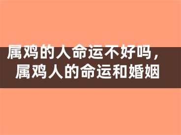 属鸡的人命运不好吗，属鸡人的命运和婚姻
