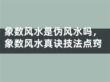 象数风水是伪风水吗,象数风水真诀技法点窍