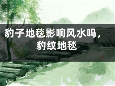 豹子地毯影响风水吗,豹纹地毯