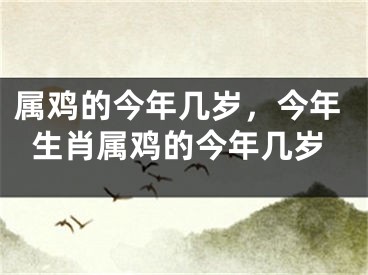 属鸡的今年几岁,今年生肖属鸡的今年几岁
