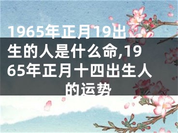 1965年正月19出生的人是什么命,1965年正月十四出生人的运势