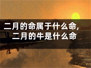 二月的命属于什么命,二月的牛是什么命