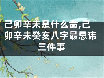 己卯辛未是什么命,己卯辛未癸亥八字最忌讳三件事