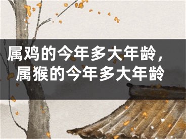 属鸡的今年多大年龄,属猴的今年多大年龄