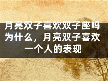 月亮双子喜欢双子座吗为什么，月亮双子喜欢一个人的表现