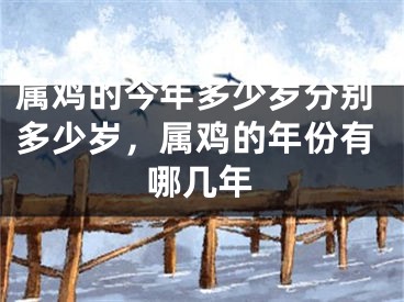 属鸡的今年多少岁分别多少岁,属鸡的年份有哪几年
