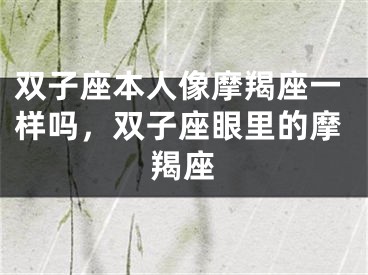 双子座本人像摩羯座一样吗，双子座眼里的摩羯座