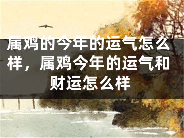 属鸡的今年的运气怎么样,属鸡今年的运气和财运怎么样