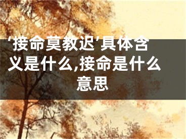 ‘接命莫教迟’具体含义是什么,接命是什么意思