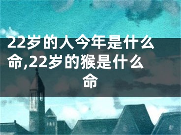 22岁的人今年是什么命,22岁的猴是什么命