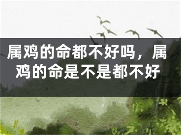 属鸡的命都不好吗,属鸡的命是不是都不好