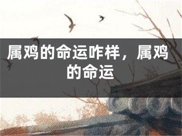 属鸡的命运咋样,属鸡的命运