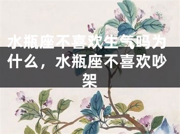 水瓶座不喜欢生气吗为什么，水瓶座不喜欢吵架