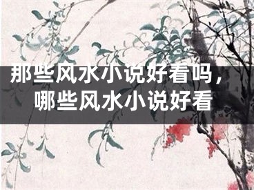 那些风水小说好看吗，哪些风水小说好看