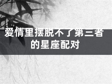 爱情里摆脱不了第三者的星座配对