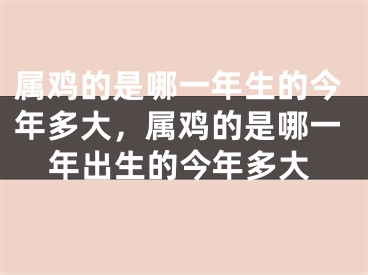 属鸡的是哪一年生的今年多大,属鸡的是哪一年出生的今年多大