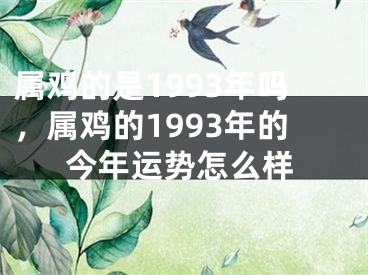 属鸡的是1993年吗，属鸡的1993年的今年运势怎么样