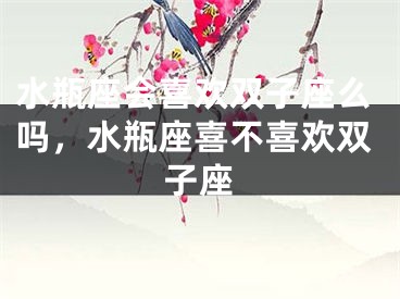 水瓶座会喜欢双子座么吗，水瓶座喜不喜欢双子座