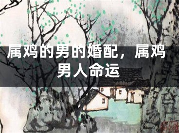 属鸡的男的婚配,属鸡男人命运