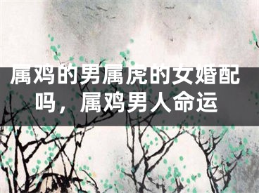 属鸡的男属虎的女婚配吗，属鸡男人命运