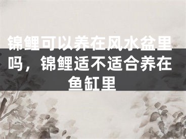 锦鲤可以养在风水盆里吗,锦鲤适不适合养在鱼缸里
