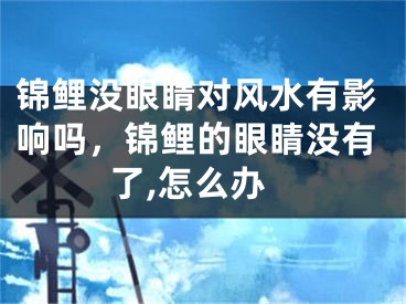 锦鲤没眼睛对风水有影响吗,锦鲤的眼睛没有了,怎么办