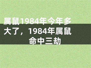 属鼠1984年今年多大了,1984年属鼠命中三劫