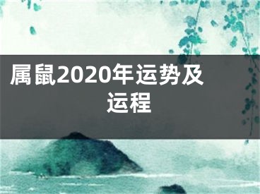 属鼠2020年运势及运程