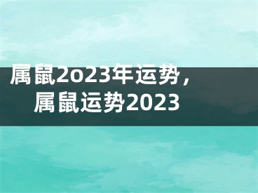 属鼠2o23年运势,属鼠运势2023