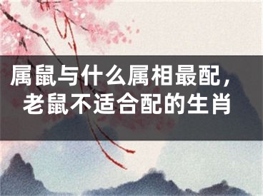 属鼠与什么属相最配，老鼠不适合配的生肖