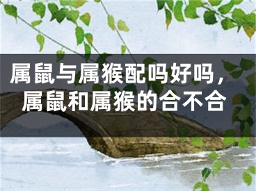 属鼠与属猴配吗好吗,属鼠和属猴的合不合