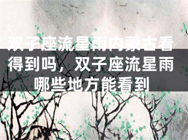 双子座流星雨内蒙古看得到吗，双子座流星雨哪些地方能看到