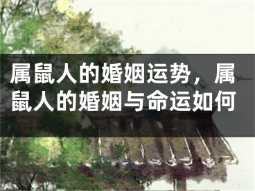 属鼠人的婚姻运势,属鼠人的婚姻与命运如何