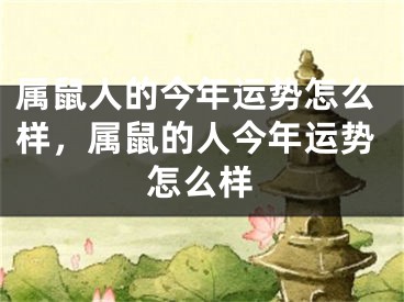 属鼠人的今年运势怎么样,属鼠的人今年运势怎么样
