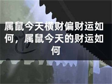 属鼠今天横财偏财运如何,属鼠今天的财运如何