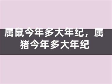 属鼠今年多大年纪，属猪今年多大年纪