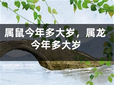 属鼠今年多大岁，属龙今年多大岁