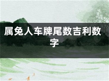 属兔人车牌尾数吉利数字