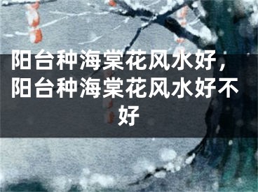 阳台种海棠花风水好,阳台种海棠花风水好不好