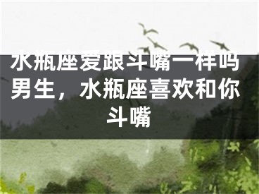 水瓶座爱跟斗嘴一样吗男生，水瓶座喜欢和你斗嘴