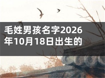 毛姓男孩名字2026年10月18日出生的