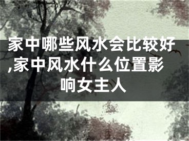 家中哪些风水会比较好,家中风水什么位置影响女主人