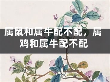 属鼠和属牛配不配,属鸡和属牛配不配